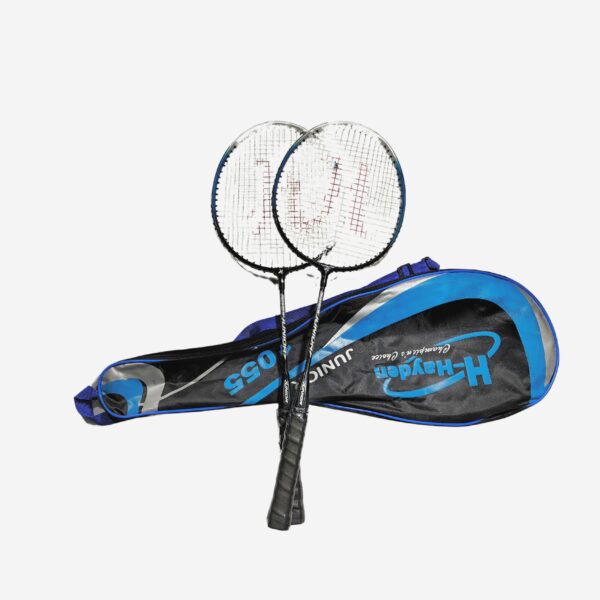 Hayden Junior Multicolor Strung Badminton Racquet  (Pack of: 2)